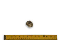 F 02282
<br/>
<br/>
<em></em>